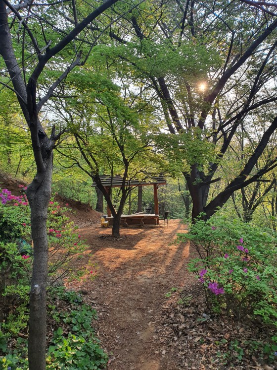 hidden picnic nook mountain
