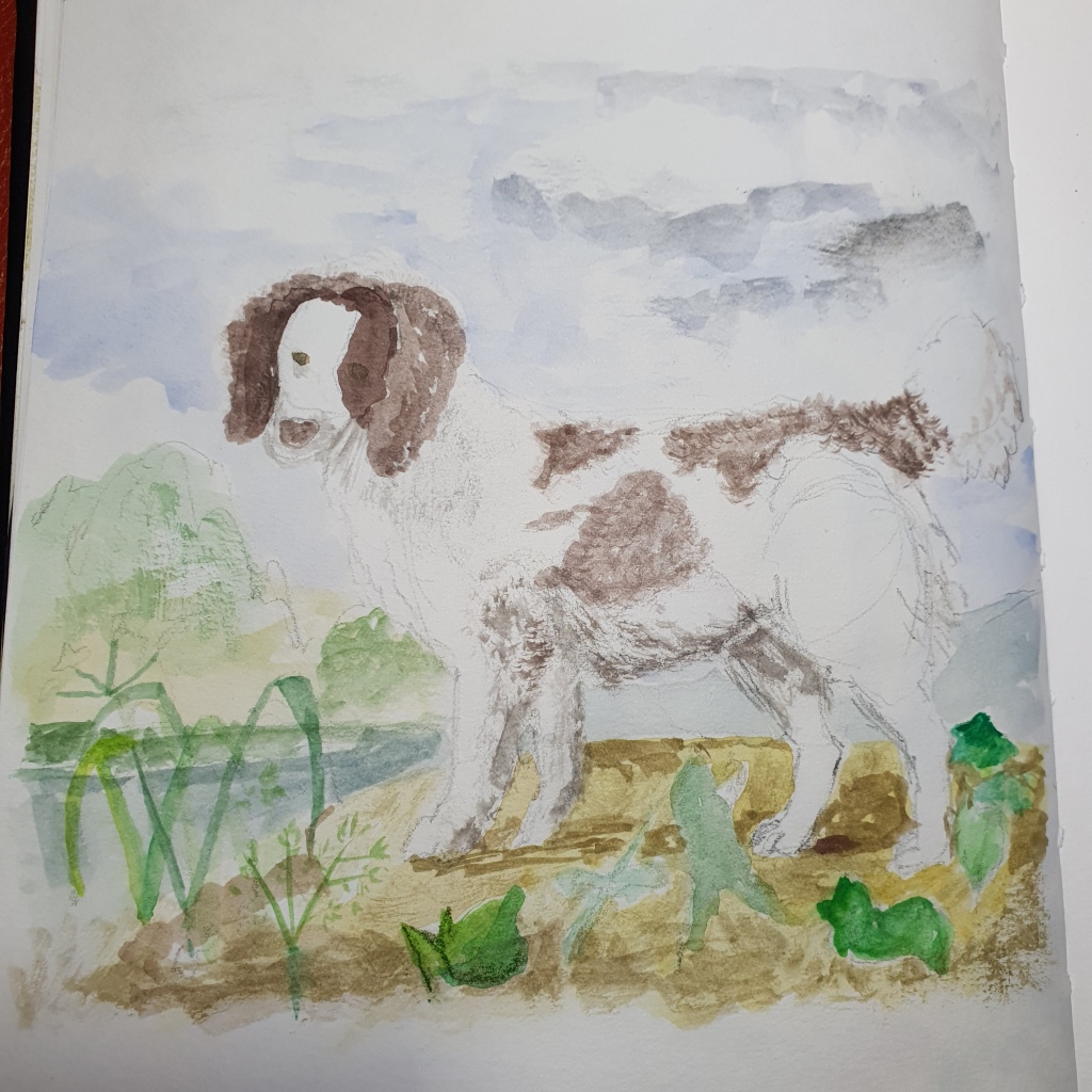 George Stubbs watercolor study dog