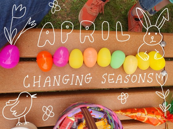 Colorful plastic easter eggs lined up on a bench